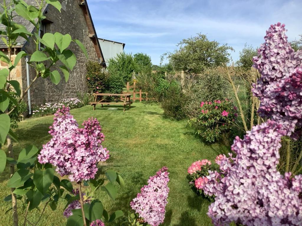 Ferienhaus Romantic *
